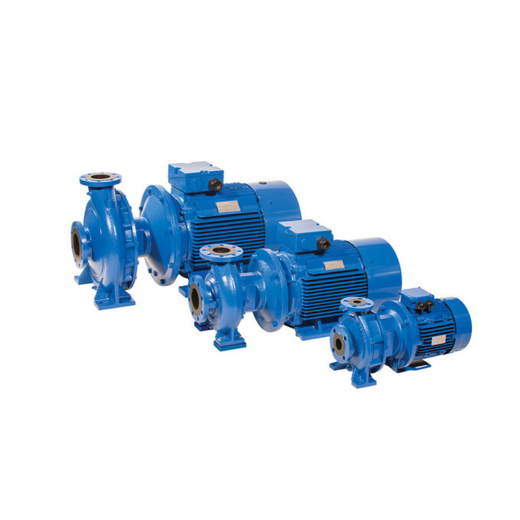 SERIJA GSD - Standardizovane pumpe EN 733